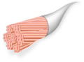 litze wire picture